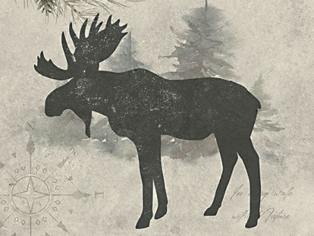 MOL2228 - Wildlife Series Moose - 12x12 For Sale